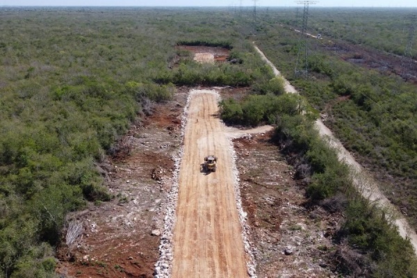 Tribunal confirma suspensión provisional de obras en tramo 5 del Tren