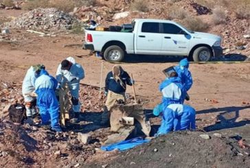 Hallan 5 cuerpos humanos en fosas clandestinas en Sonora