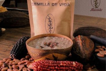 Cacao semilla tradicional y de identidad en la cocina mexicana