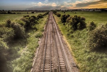 Piden salvar Cenotes y Selvas y fauna amenazados por el paso del Tren Maya