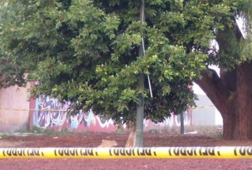 Hallan cuerpo de joven colgado de un árbol en calles de Iztapalapa