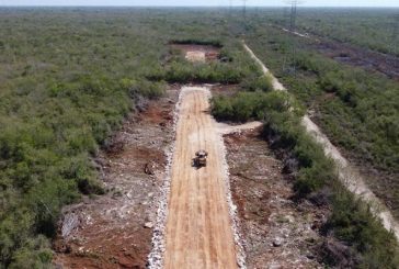 Tribunal confirma suspensión  provisional de obras en tramo 5 del Tren Maya