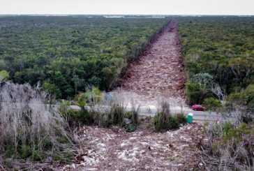 Otorgan suspensión definitiva al Tramo 5 del Tren Maya