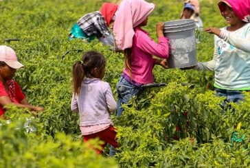 Pide Movimiento Ciudadano garantizar salarios dignos a menores de edad que trabajan