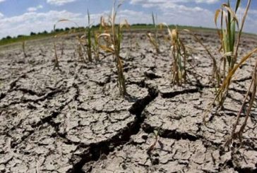 Escasez de alimentos otro problema sin resolver de la 4T 