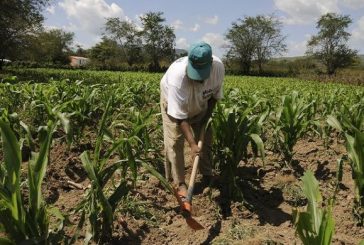 Pide más recursos para el campo