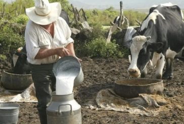 Productores  confían en que gobierno respete precio de leche