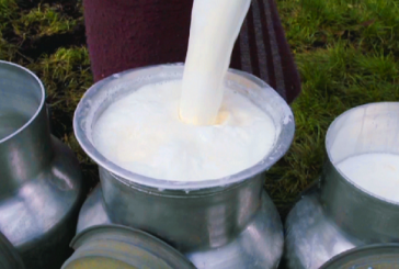 Estabilizar precio de leche al productor para fortalecer al sector de la leche : Fermeleche