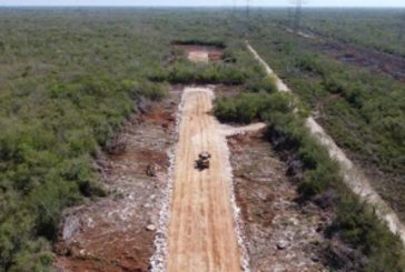 Inai ordena a Semarnat dar a conocer plan de reforestación que tendrá ruta del Tren Maya