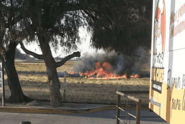 Cae helicóptero en Aguascalientes; confirman muerte de Porfirio Sánchez, titular de Seguridad Pública estatal