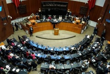 ONG exige al Senado trabajar la reforma que sanciona la sustracción de menores