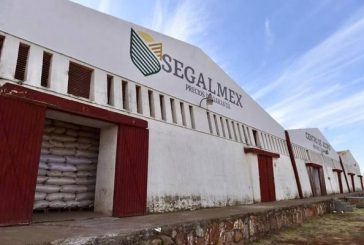 Caso Segalmex: INAI pide a Diconsa aclarar compra de 20 mil toneladas de leche en polvo