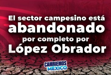 El sector campesino está abandonado por completo por López Obrador: Marko Cortés