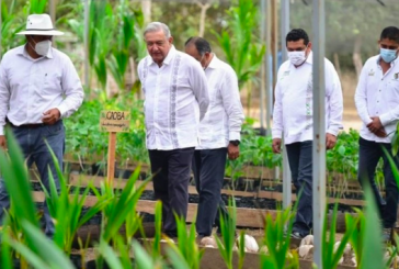 ARRANCA PROGRAMA SEMBRANDO EN VIDA DE AMLO EN CUBA