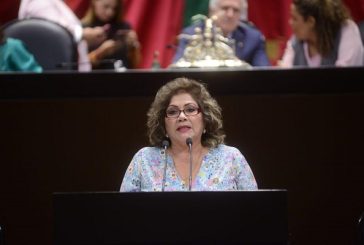 Para evitar más plagios a creaciones de los pueblos indígenas, el PVEM emprende propuesta de forma legislativa