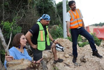 Xóchitl Gálvez exhibe a AMLO por tala de árboles en construcción del Tren Maya