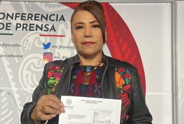 Diputada de Morena denuncia ante el INE a Mario Delgado y a Citlalli Hernández por violencia política de género