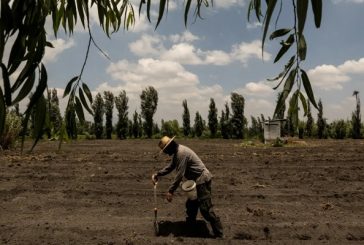 Diputados avalan que presupuesto para programas del campo no sea menor a la del año inmediato anterior