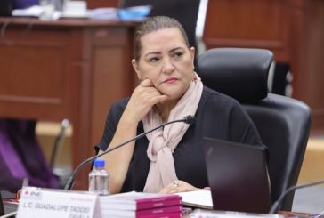 El INE no le da la bienvenida al recorte a su presupuesto; sería un golpe al país