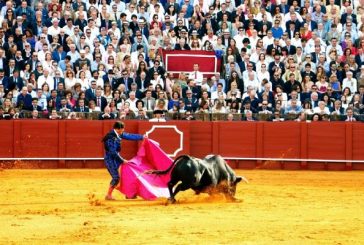 Otorga jueza suspensión provisional a organización que exige suspender corridas de toros