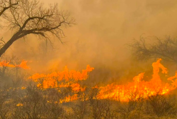 INCENDIOS FORESTALES AMENAZAN TEXAS; ES UNO DE LOS MÁS GRANDES DE SU HISTORIA