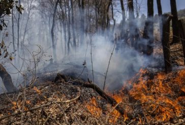Solicitan a Semarnat informe sobre acciones para combatir incendios forestales en el país