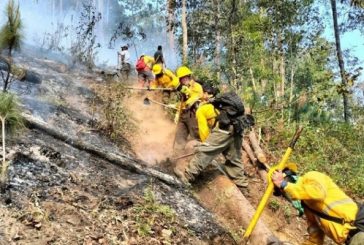 En Veracruz, arrasadas 2,280 hectáreas por incendios forestales