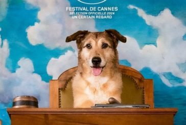 Palma al mejor perro actor en Cannes se la lleva Kodi, estrella de “Le procès du chien”