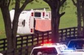 Seis mexicanos graves y tres en estado crítico tras accidente en Florida: SRE