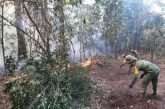 Incendio en la Sierra Madre en Tamaulipas devasta 800 hectáreas