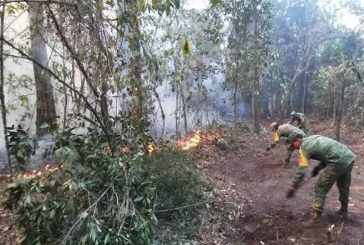 Incendio en la Sierra Madre en Tamaulipas devasta 800 hectáreas