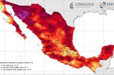 Van 125 decesos por altas temperaturas en México