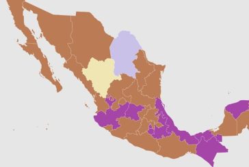 Así avanza el PREP de las elecciones 2024 en los estados