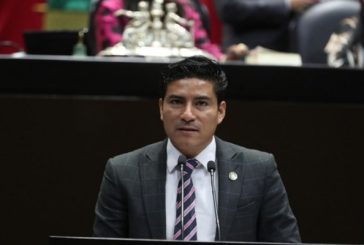 Impulsan iniciativa para expedir la Ley Federal de Conservación, Protección y Manejo Sustentable del Maguey