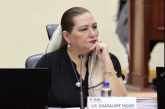 El INE necesita transformarse,  pero no desaparecer: Guadalupe Taddei