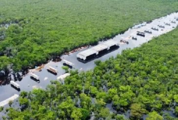 Agua cubre vías del Tren Mata en Bacalar