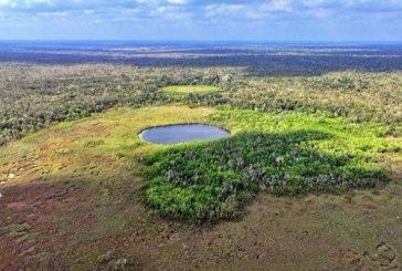 Ponen a consulta pública declarar área natural protegida en Tulum y Cozumel 