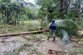 Marina despliega apoyo en varias regiones del país tras el Huracán Beryl