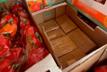 FGR asegura fentanilo que era transportados en cajas con pimientos