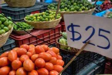 Inflación se desacelera en agosto y en su primera quincena se ubica en 5.16 por ciento