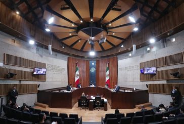 Más de 8 mil impugnaciones recibe el TEPJF contra sobrerrepresentación