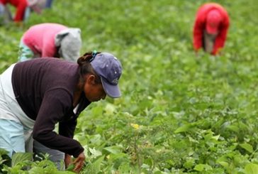 El trabajo de las mujeres rurales es fundamental en los sistemas de alimentación