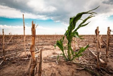 Sequía en México persiste pese a lluvias torrenciales de los últimos meses: UNAM