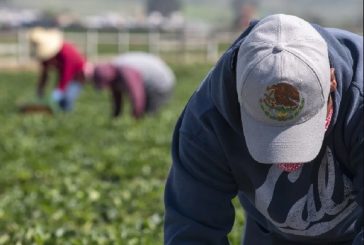 En la CDMX 46% de trabajadores agrícolas, no remunerados