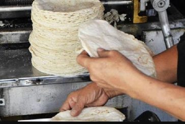 Sader se reunirá esta semana con productores para impulsar plan para reducir el precio de la tortilla