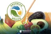 Producción de alimentos orgánicos mantiene dinamismo en México