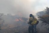 Reportan al menos tres incendios suburbanos en la ciudad de Zacatecas