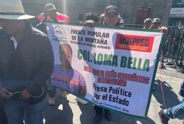 Niño de 12 años pide que liberen a su madre