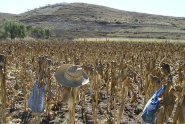 El sector agropecuario un desastre por la 4T