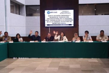 Aprueba Comisión dictámenes sobre especies en peligro de extinción y responsabilidad ambiental